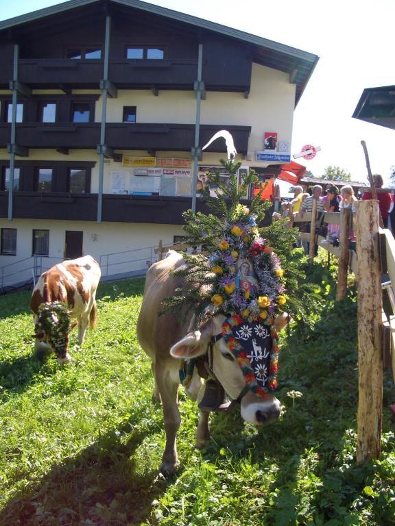 Moida-Ferienwohnung Fügen Quarto foto